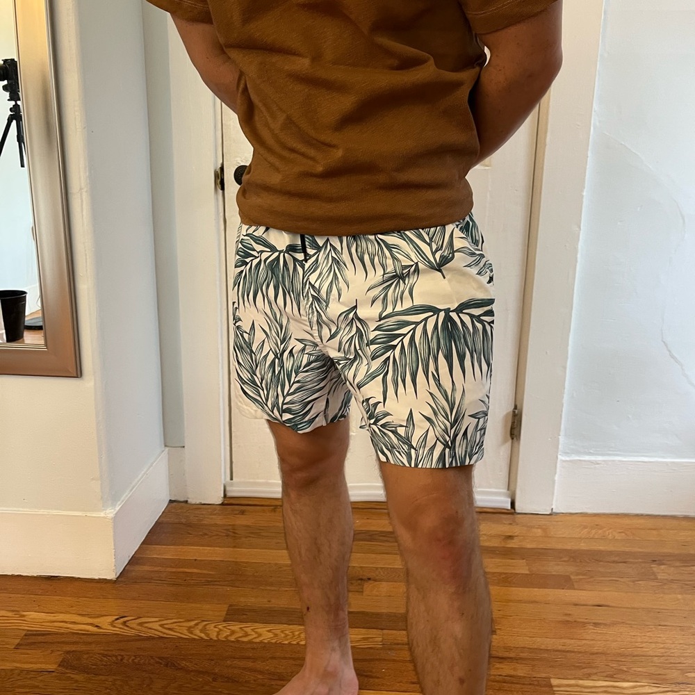Brown Shirt and Leaf Print Shorts